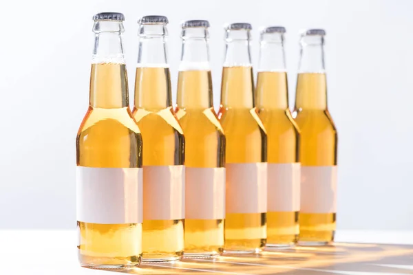 Beer bottles with blank white labels isolated on grey — Stock Photo