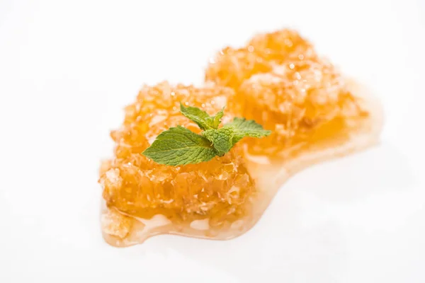 Вкусные соты с медом и зелеными листьями мяты изолированы на белом — стоковое фото