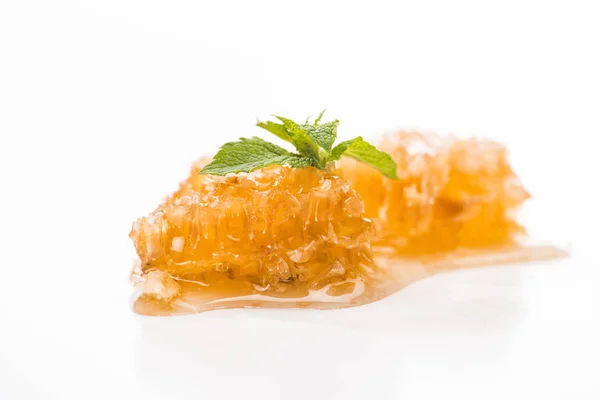 Close up view of delicious honeycomb with honey and green mint leaves isolated on white — Stock Photo