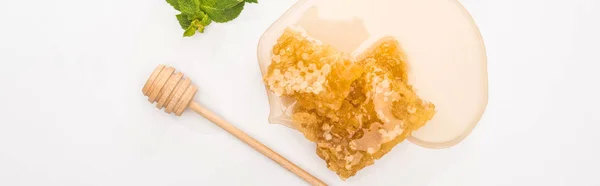 Panoramic shot of honey, mint, honeycomb and wooden honey dipper on white background — Stock Photo