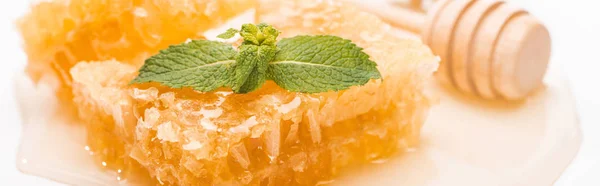 Panoramic shot of honeycomb with honey decorated with mint near wooden honey dipper on white background — Stock Photo