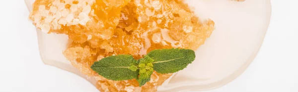 Panoramic shot of honeycomb with honey decorated with mint on white background — Stock Photo