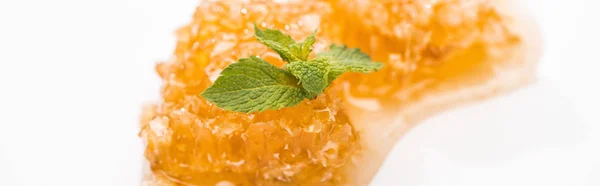 Foto panorámica de delicioso panal con miel y hojas frescas de menta verde aisladas en blanco - foto de stock