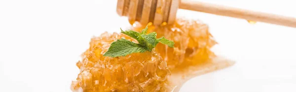 Панорамный снимок вкусной соты с мёдом и зелеными листьями мяты рядом с деревянной ковшой, изолированной на белом — стоковое фото