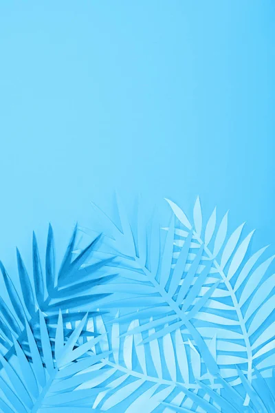 Top view of paper leaves on blue minimalistic background with copy space — Stock Photo