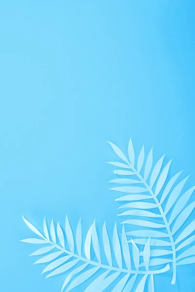 Top view of paper leaves on blue minimalistic background with copy space — Stock Photo