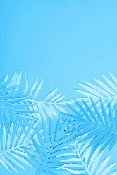 Верхний вид листьев бумаги на синем минималистичном фоне с копировальным пространством — стоковое фото