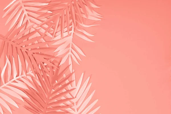 Top view of coral tropical paper cut palm leaves, minimalistic background with copy space — Stock Photo