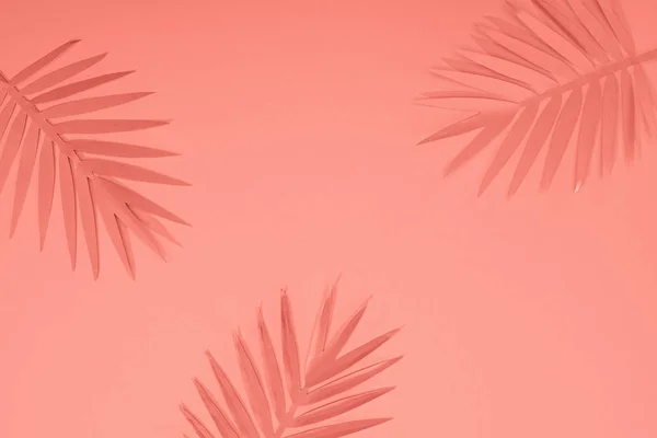 Draufsicht auf tropische Palmblätter aus Papier, minimalistischer Hintergrund mit Kopierraum — Stockfoto