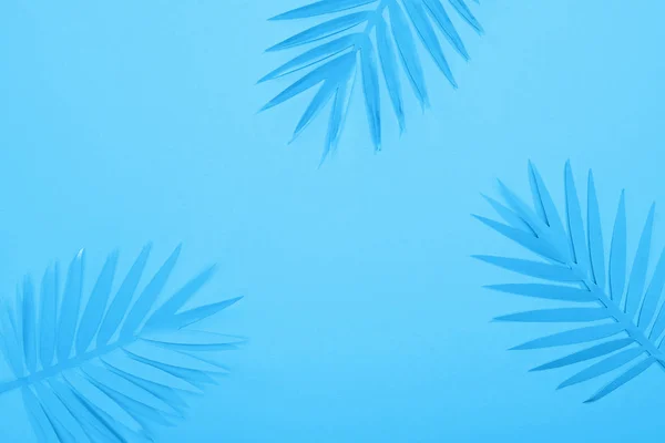 Вид зверху паперового тропічного листя на синьому мінімалістичному фоні з пробілом для копіювання — стокове фото