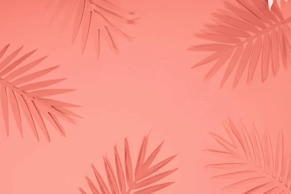 Вид зверху на кораловий тропічний папір, вирізане пальмове листя, мінімалістичний фон з пробілом для копіювання — стокове фото