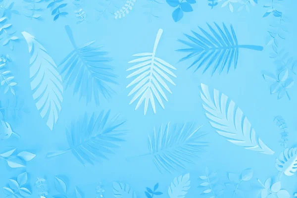 Vue du dessus des feuilles tropicales en papier sur fond bleu minimaliste — Photo de stock