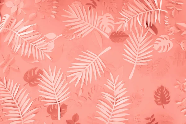 Top view of coral tropical paper cut palm leaves, minimalistic background — Stock Photo