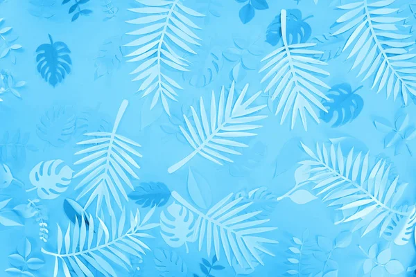 Vue de dessus des feuilles de papier exotiques sur fond bleu minimaliste — Photo de stock