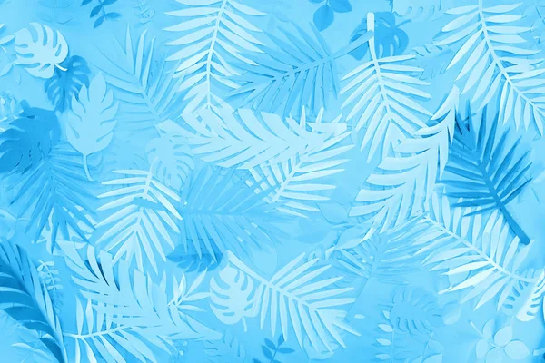 Vue de dessus des feuilles de papier exotiques sur fond bleu minimaliste — Photo de stock