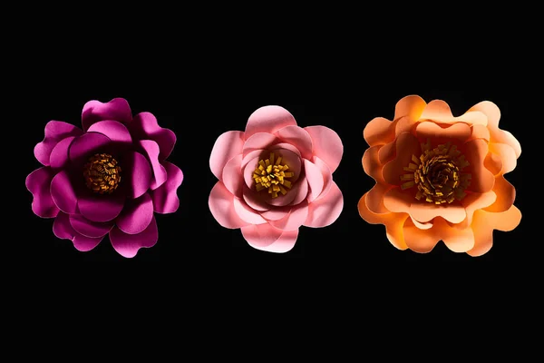 Top view of paper cut multicolored flowers isolated on black with copy space — Stock Photo