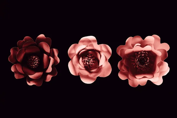 Top view of paper cut pink flowers isolated on black with copy space — Stock Photo