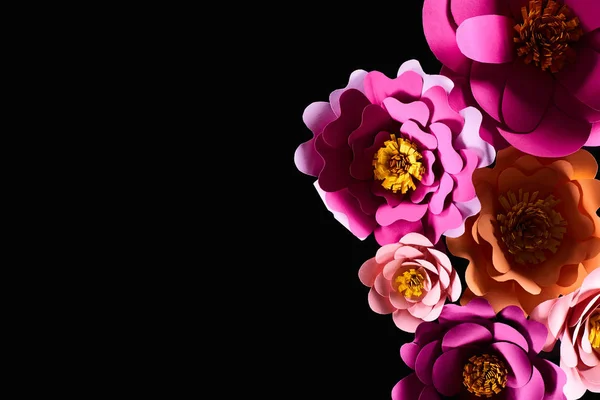 Top view of paper cut multicolored flowers isolated on black with copy space — Stock Photo