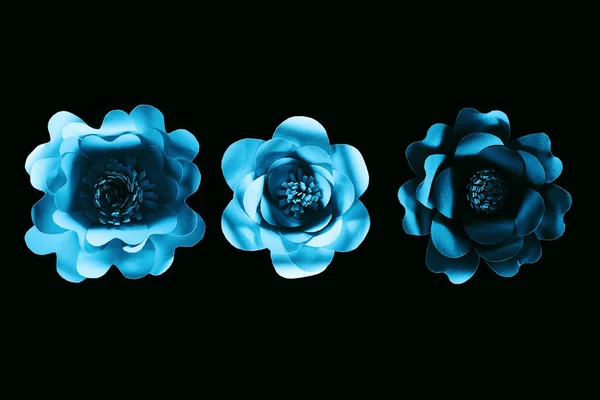 Vista superior de papel cortado flores azuis isoladas em preto com espaço de cópia — Fotografia de Stock