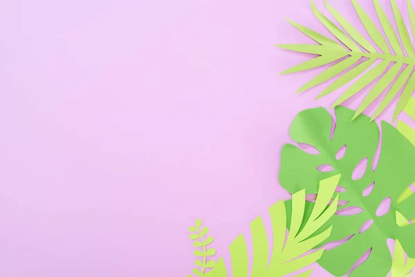 Vue du dessus des feuilles tropicales coupées en papier vert sur fond violet avec espace de copie — Photo de stock