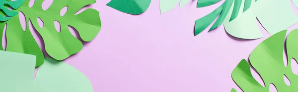 Panoramic shot of green paper cut tropical leaves on violet background with copy space — Stock Photo