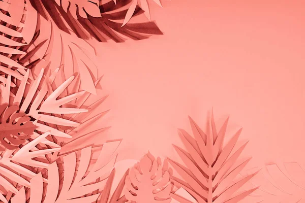 Frame of coral tropical paper cut palm leaves, minimalistic background with copy space — Stock Photo