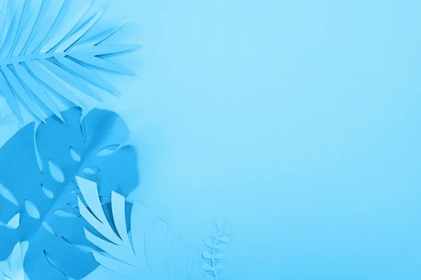 Top view of paper leaves on blue minimalistic background with copy space — Stock Photo