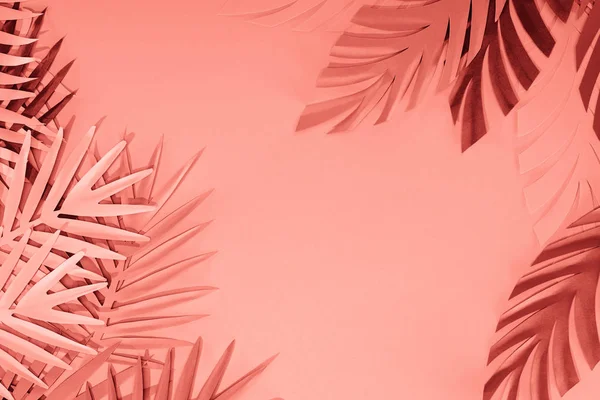 Frame of coral tropical paper cut palm leaves, minimalistic background with copy space — Stock Photo