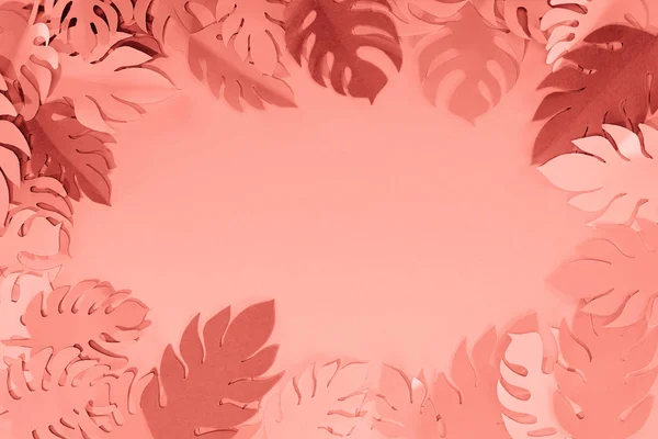 Frame of coral tropical paper cut palm leaves, minimalistic background with copy space — Stock Photo