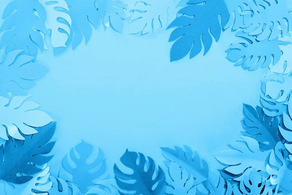 Frame of paper cut exotic leaves on blue minimalistic background with copy space — Stock Photo