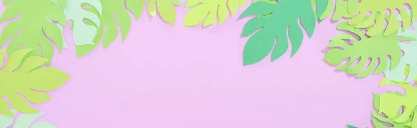 Top view of green paper cut tropical leaves on violet background with copy space, panoramic shot — Stock Photo