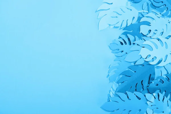 Top view of paper leaves on blue minimalistic background with copy space — Stock Photo