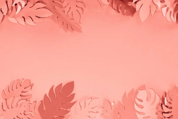 Рамка из коралловой тропической бумаги срезают пальмовые листья, минималистический фон с копировальным пространством — стоковое фото