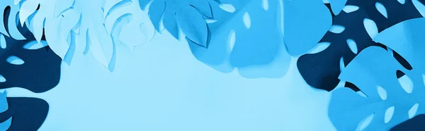 Colpo panoramico di foglie tropicali taglio carta su sfondo minimalista blu con spazio copia — Foto stock