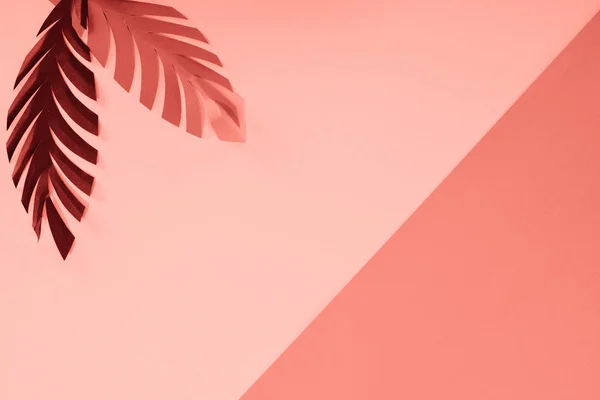 Top view of coral tropical paper cut palm leaves, minimalistic background with copy space — Stock Photo