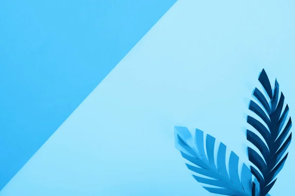 Ansicht von Papierblättern auf blauem, minimalistischem Hintergrund mit Kopierraum — Stockfoto