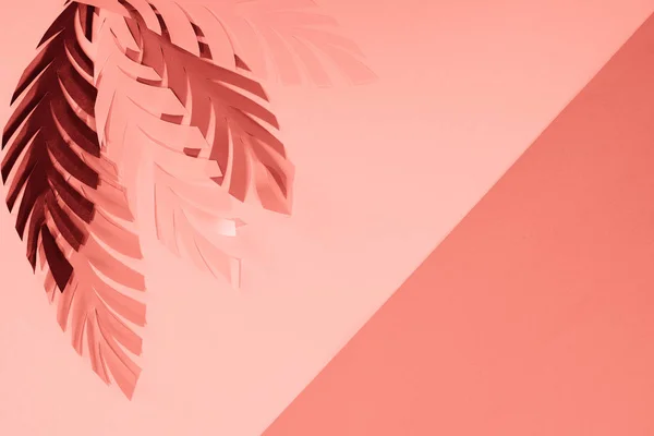 Vista dall'alto di foglie di palma taglio carta tropicale corallo, sfondo minimalista con spazio copia — Foto stock
