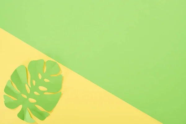 Vue du dessus du papier coupé feuille tropicale verte sur fond lumineux jaune et vert avec espace de copie — Photo de stock