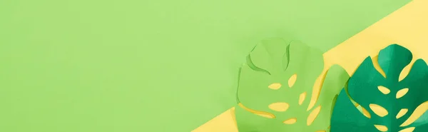 Vue du dessus des feuilles tropicales vertes coupées en papier sur fond lumineux jaune et vert avec espace de copie, vue panoramique — Photo de stock