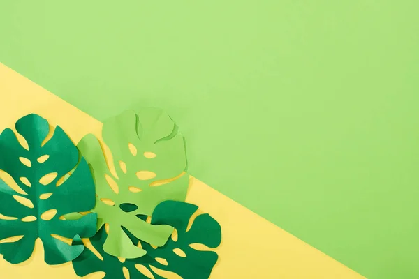 Draufsicht auf Papier geschnitten grüne tropische Blätter auf gelbem und grünem Hintergrund mit Kopierraum — Stockfoto