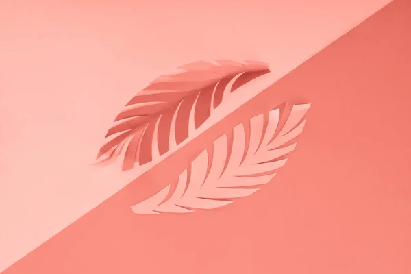 Flat lay with coral tropical paper cut palm leaves, minimalistic background — Stock Photo