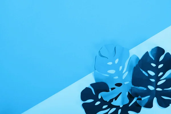 Vista superior de folhas tropicais de papel em fundo minimalista azul com espaço de cópia — Fotografia de Stock