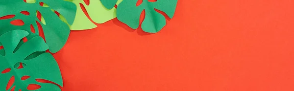 Plan panoramique de feuilles tropicales coupées en papier vert sur fond rouge vif avec espace de copie — Photo de stock