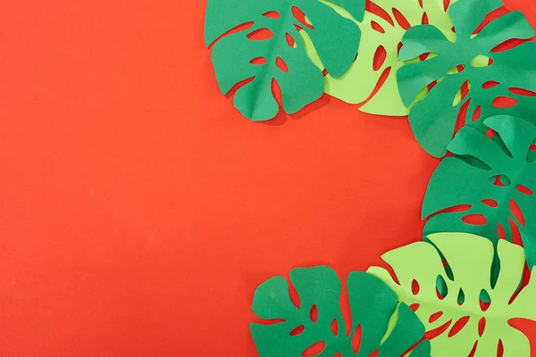 Vista superior do papel verde cortar folhas tropicais sobre fundo vermelho brilhante com espaço de cópia — Fotografia de Stock