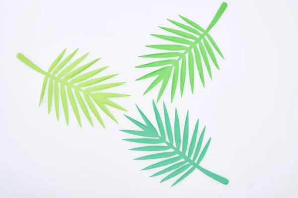 Vue du dessus des feuilles tropicales coupées en papier vert isolées sur blanc — Photo de stock