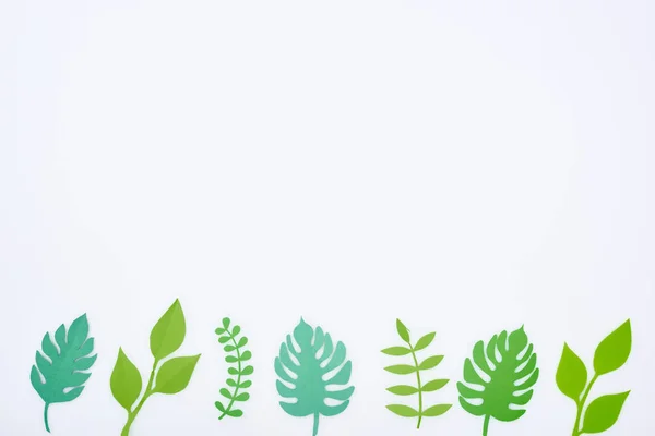Вид зверху на зелений папір вирізає тропічні листя в ряд ізольовані на білому з простором для копіювання — стокове фото