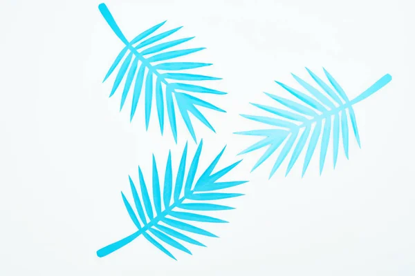Vista superior de papel azul cortar folhas tropicais isoladas em branco — Fotografia de Stock