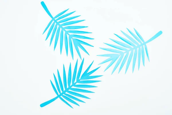 Draufsicht auf blaues Papier geschnitten tropischen Blättern isoliert auf weiß — Stock Photo