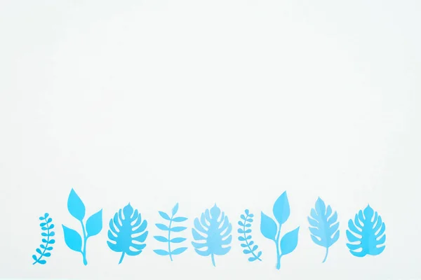 Vista superior de papel azul cortar folhas tropicais em linha isoladas em branco com espaço de cópia — Fotografia de Stock
