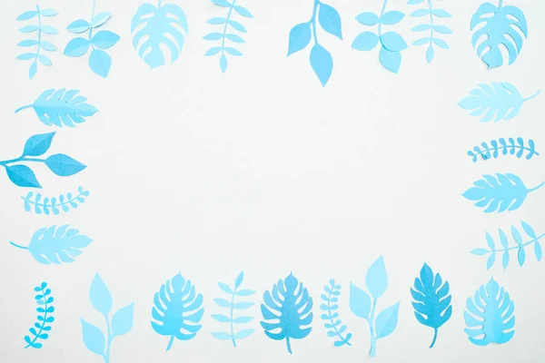 Vue du dessus des feuilles tropicales coupées en papier bleu isolées sur blanc avec espace de copie — Photo de stock